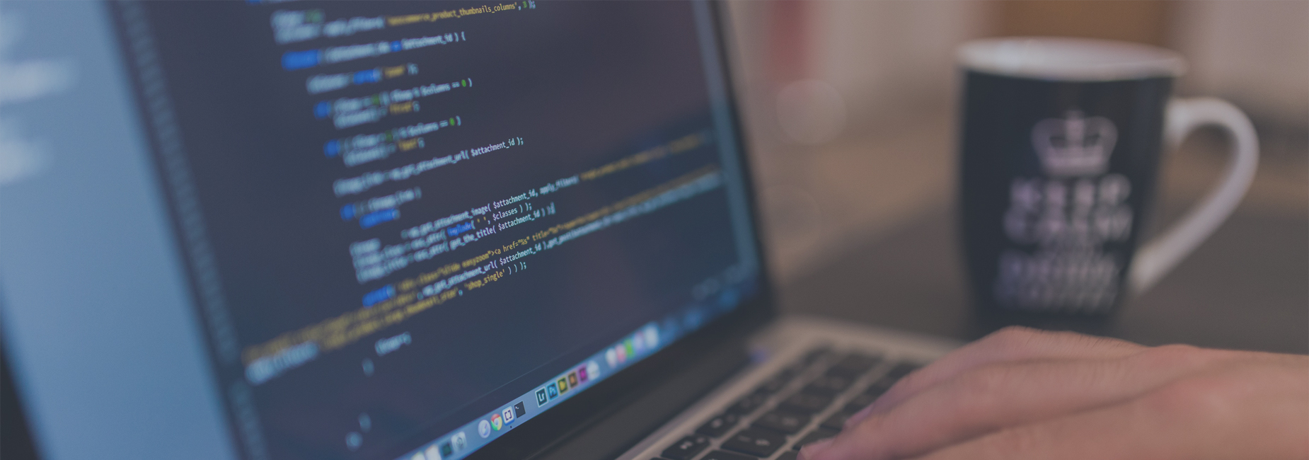 Software Development